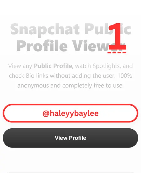 Entering snapchat username