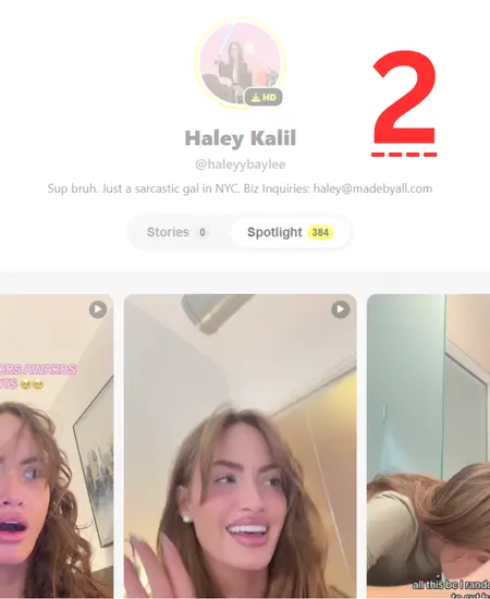 Viewing snapchat bio and links