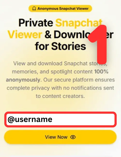 A browser window showing a user entering a username into the StoryLooker search field.