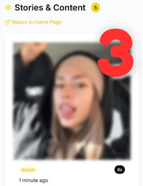A user interface displaying Snapchat stories, profile picture, and snaps within the StoryLooker website.